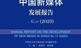 网民爆料蓝皮书视频