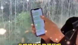 张兰被爆料录音视频播放,揭秘豪门背后的真实故事